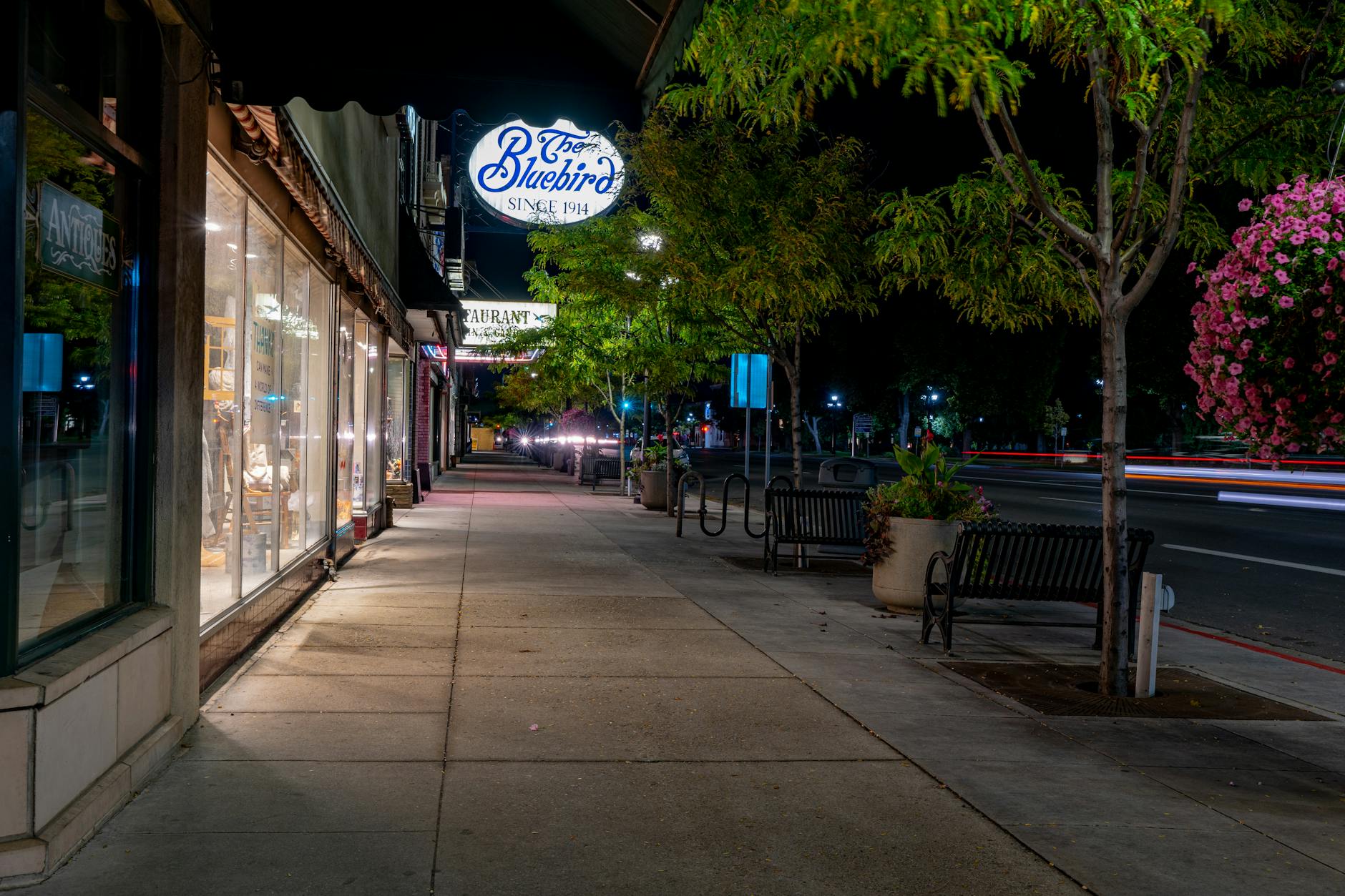 Nighttime neighborhood streetscape with lit storefronts, benches, and tree-lined sidewalk